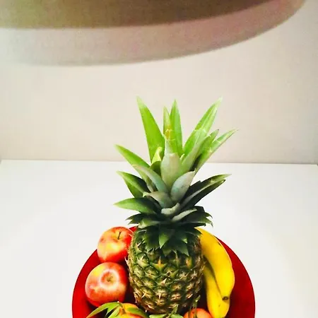 招待所 勒莱斯图利娅普里斯卡酒店