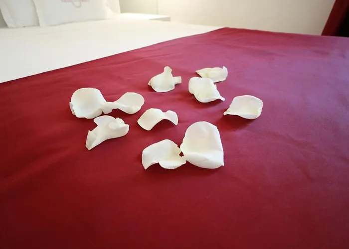 툴리아&프리스카 를레